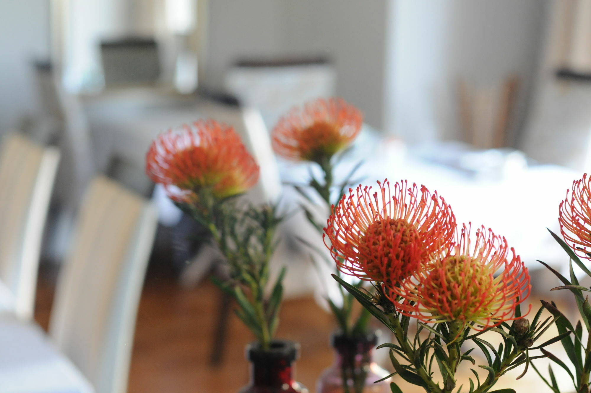 Abbey Manor Luxury Guesthouse Κέιπ Τάουν Εξωτερικό φωτογραφία